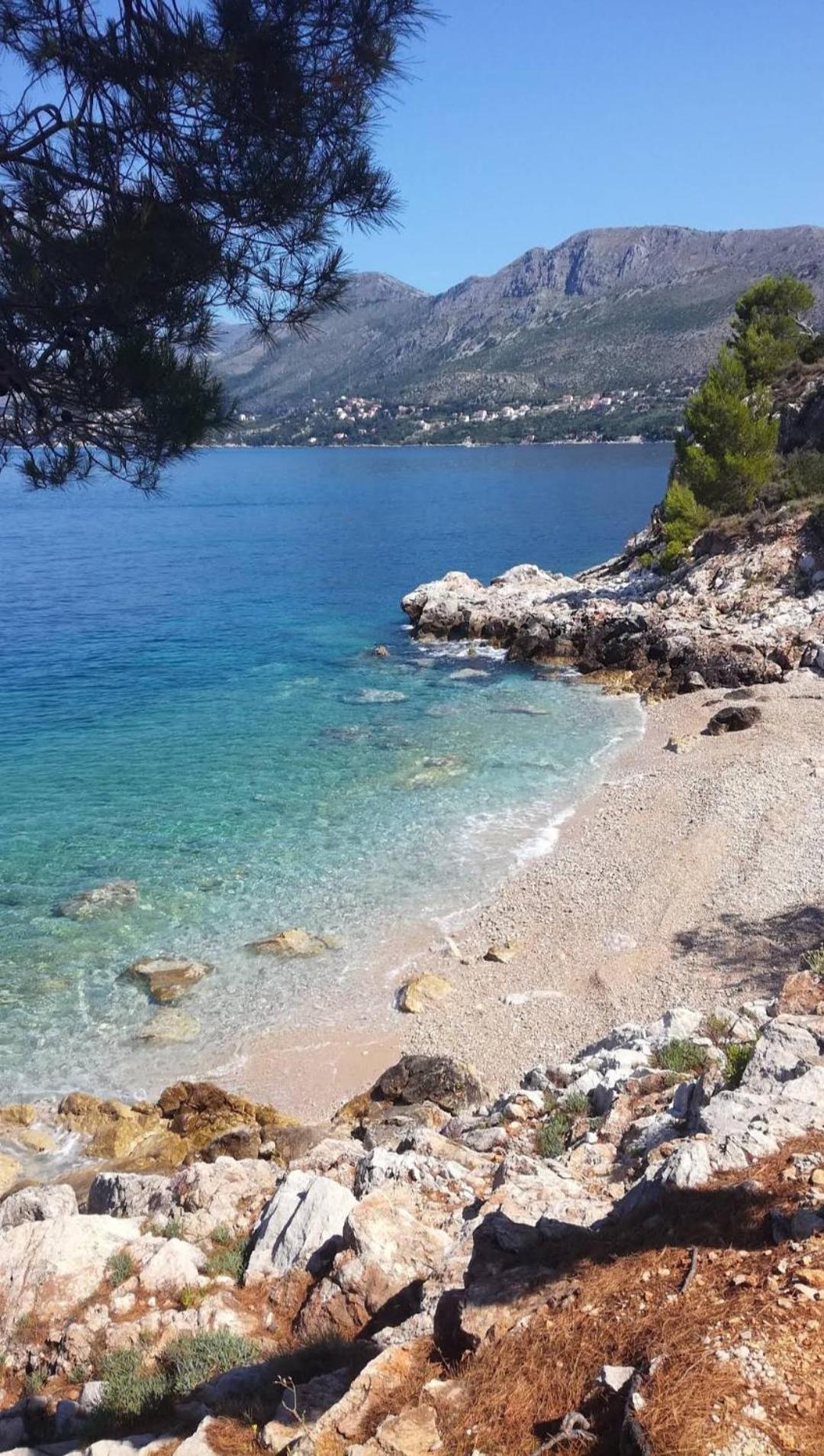 Bianchi Apartment Cavtat Bilik gambar